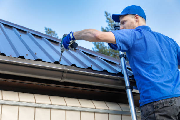 Best Roof Moss and Algae Removal  in East Norwich, NY